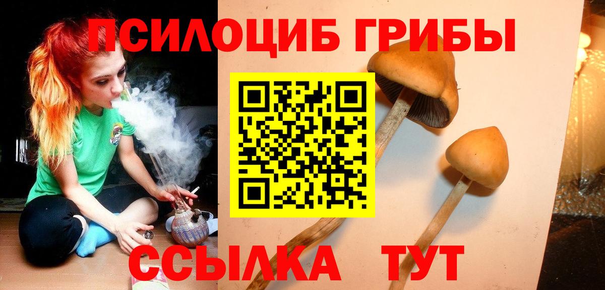 Галлюциногенные грибы GOLDEN TEACHER  Псилоцибиновые грибы Magic Shrooms  цены наркотик  Кумертау  Вход с VPN 
